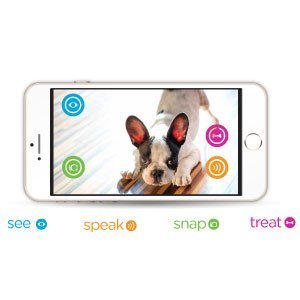 Petzi Treat Cam: WiFi Treat Dispenser for Cats and Dogs 6