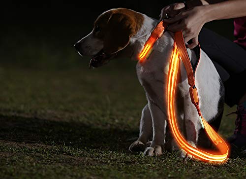 Illumiseen LED Dog Leash - USB Rechargeable - Available in 6 Colors & 2 Sizes - Makes Your Dog Visible, Safe & Seen 40 Illumiseen LED Dog Leash - USB Rechargeable - Available in 6 Colors & 2 Sizes - Makes Your Dog Visible, Safe & Seen - Image 40
