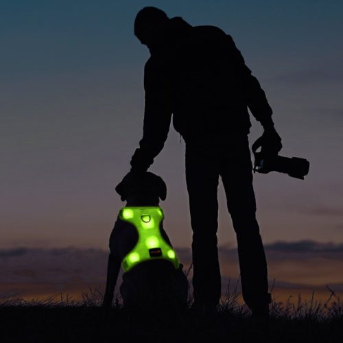 BSEEN LED Dog Harness LED Dog Vest USB Rechargeable Soft Mesh Vest with Adjustable Belt Padded Lightweight for Large Medium Small Dogs 6