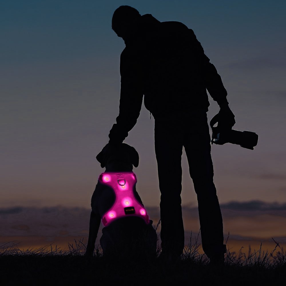 BSEEN LED Dog Harness LED Dog Vest USB Rechargeable Soft Mesh Vest with Adjustable Belt Padded Lightweight for Large Medium Small Dogs 19 BSEEN LED Dog Harness LED Dog Vest USB Rechargeable Soft Mesh Vest with Adjustable Belt Padded Lightweight for Large Medium Small Dogs - Image 19