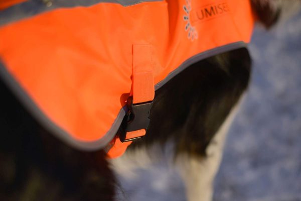 Illumiseen LED Dog Vest | Orange Safety Jacket with Reflective Strips & USB Rechargeable LED Lights | Increase Your Dog’s Visibility When Walking, 7