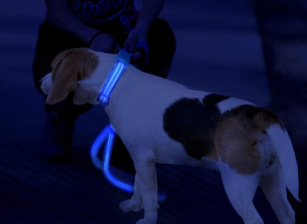 Illumiseen LED Dog Leash - USB Rechargeable - Available in 6 Colors & 2 Sizes - Makes Your Dog Visible, Safe & Seen 34