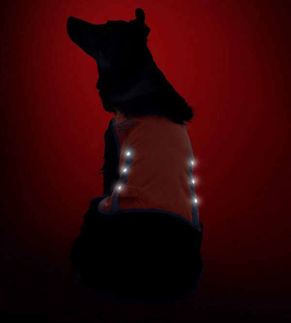 Illumiseen LED Dog Vest | Orange Safety Jacket with Reflective Strips & USB Rechargeable LED Lights | Increase Your Dog’s Visibility When Walking, 9