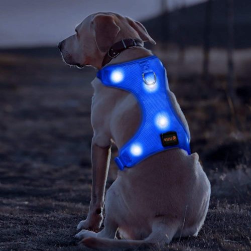 BSEEN LED Dog Harness LED Dog Vest USB Rechargeable Soft Mesh Vest with Adjustable Belt Padded Lightweight for Large Medium Small Dogs 8