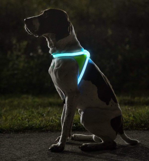 noxgear LightHound – Revolutionary Illuminated and Reflective Harness for Dogs Including Multicolored LED Fiber Optics (USB Rechargeable, Adjustable, 6