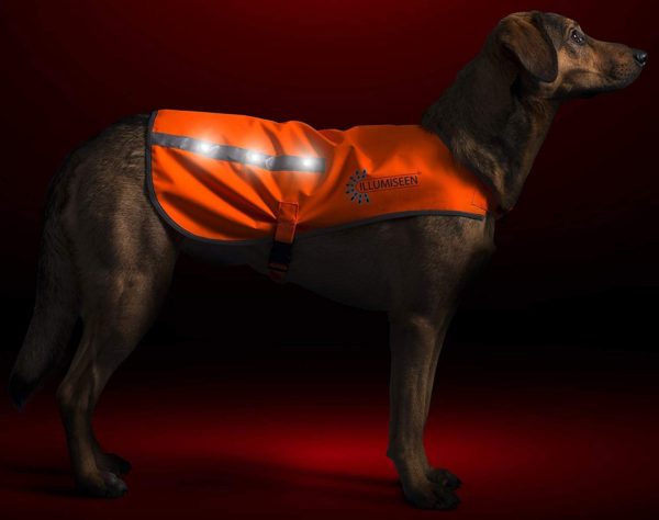 Illumiseen LED Dog Vest | Orange Safety Jacket with Reflective Strips & USB Rechargeable LED Lights | Increase Your Dog’s Visibility When Walking, 3