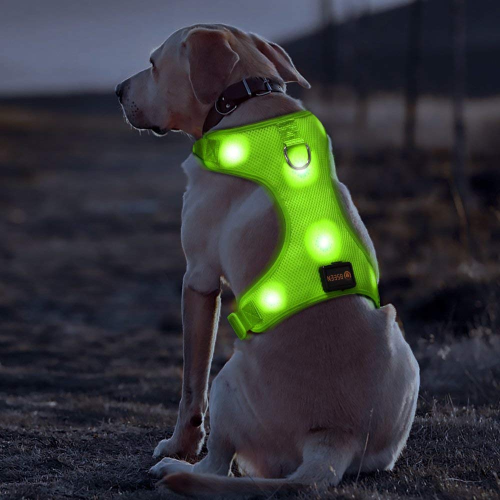 BSEEN LED Dog Harness LED Dog Vest USB Rechargeable Soft Mesh Vest with Adjustable Belt Padded Lightweight for Large Medium Small Dogs 2