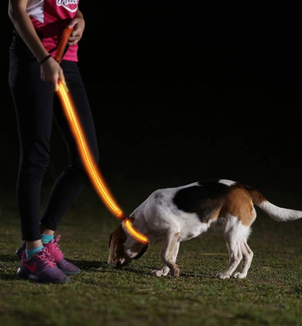 Illumiseen LED Dog Leash - USB Rechargeable - Available in 6 Colors & 2 Sizes - Makes Your Dog Visible, Safe & Seen 37