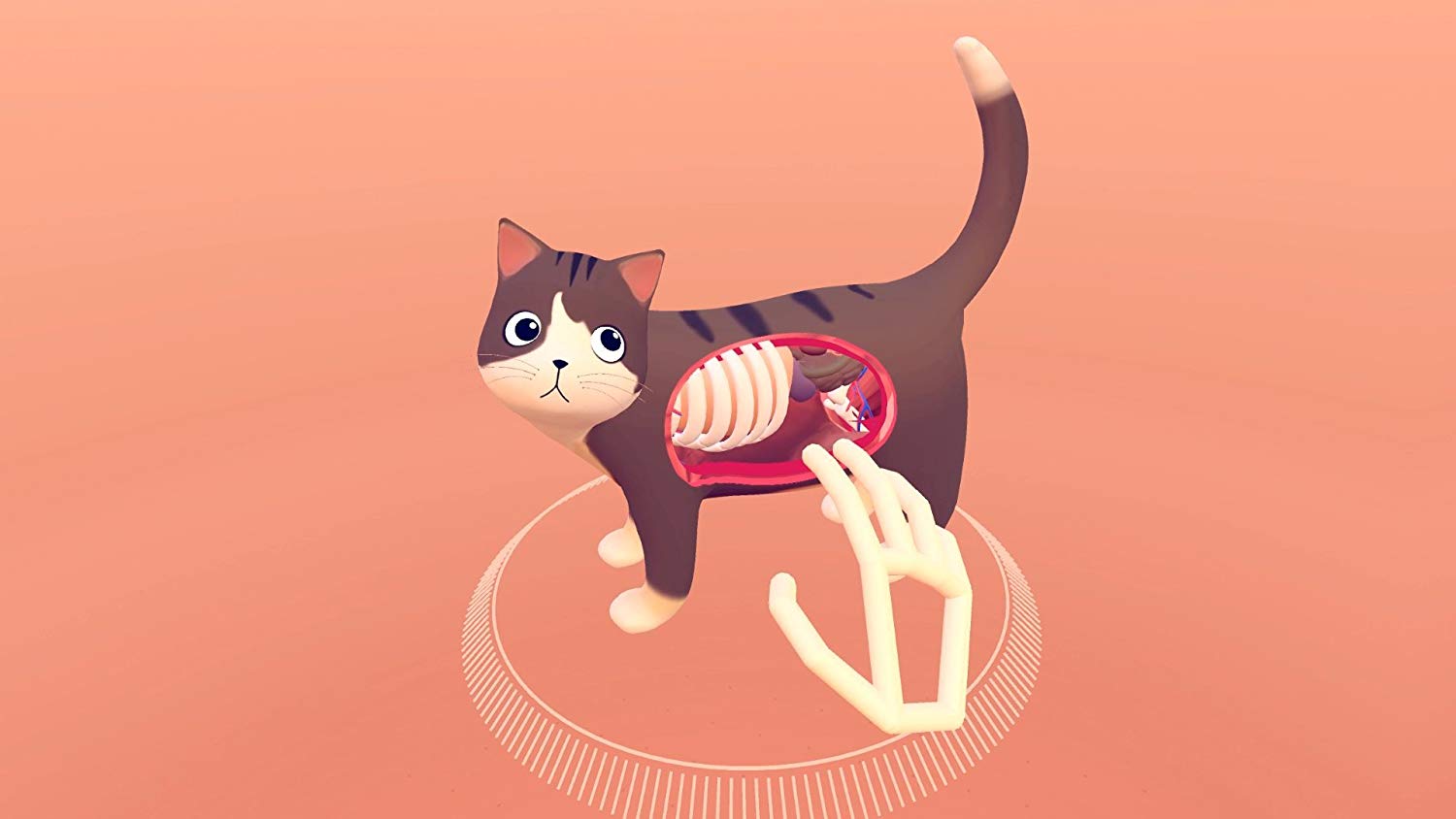 Leap Motion Controller for Mac or PC (Retail Packaging and Updated Software) 6 Leap Motion Controller for Mac or PC (Retail Packaging and Updated Software) - Image 6