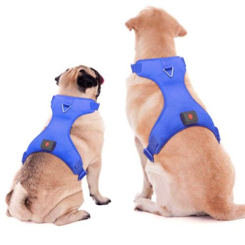 HiGuard USB Rechargeable LED Dog Harness Comfort Soft Mesh Lighted Up Glowing Harness Vest with Adjustable Belt Padded for Dog Night Walking Training 14