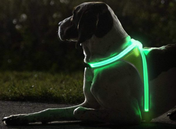 noxgear LightHound – Revolutionary Illuminated and Reflective Harness for Dogs Including Multicolored LED Fiber Optics (USB Rechargeable, Adjustable, 2