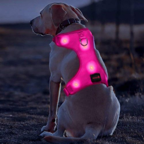 BSEEN LED Dog Harness LED Dog Vest USB Rechargeable Soft Mesh Vest with Adjustable Belt Padded Lightweight for Large Medium Small Dogs 14