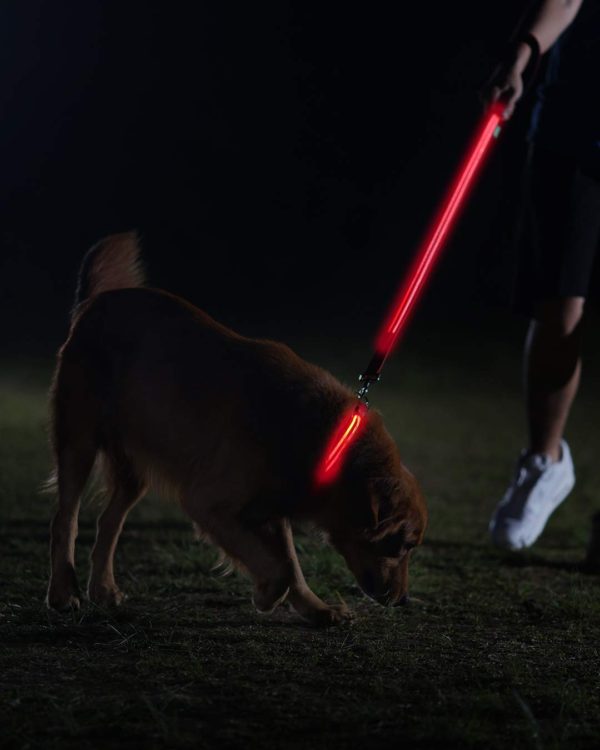 Illumiseen LED Dog Leash - USB Rechargeable - Available in 6 Colors & 2 Sizes - Makes Your Dog Visible, Safe & Seen 25