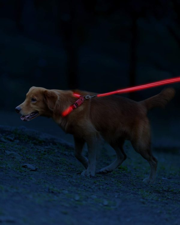 Illumiseen LED Dog Leash - USB Rechargeable - Available in 6 Colors & 2 Sizes - Makes Your Dog Visible, Safe & Seen 28