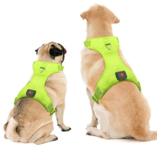 HiGuard USB Rechargeable LED Dog Harness Comfort Soft Mesh Lighted Up Glowing Harness Vest with Adjustable Belt Padded for Dog Night Walking Training 6