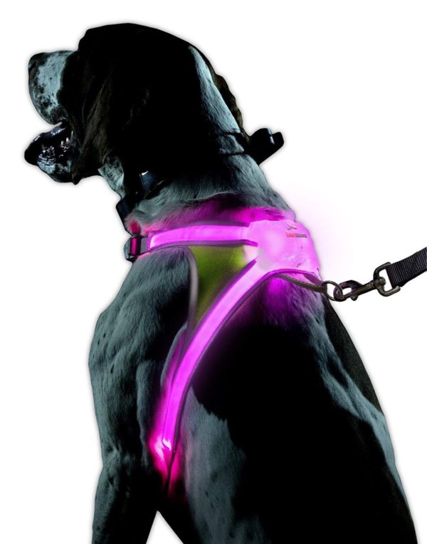 noxgear LightHound – Revolutionary Illuminated and Reflective Harness for Dogs Including Multicolored LED Fiber Optics (USB Rechargeable, Adjustable, 9