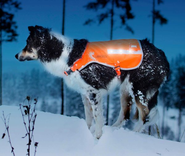 Illumiseen LED Dog Vest | Orange Safety Jacket with Reflective Strips & USB Rechargeable LED Lights | Increase Your Dog’s Visibility When Walking, 6