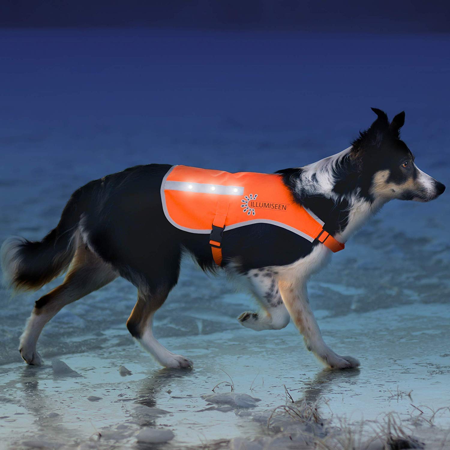 Illumiseen LED Dog Vest | Orange Safety Jacket with Reflective Strips & USB Rechargeable LED Lights | Increase Your Dog’s Visibility When Walking, 1
