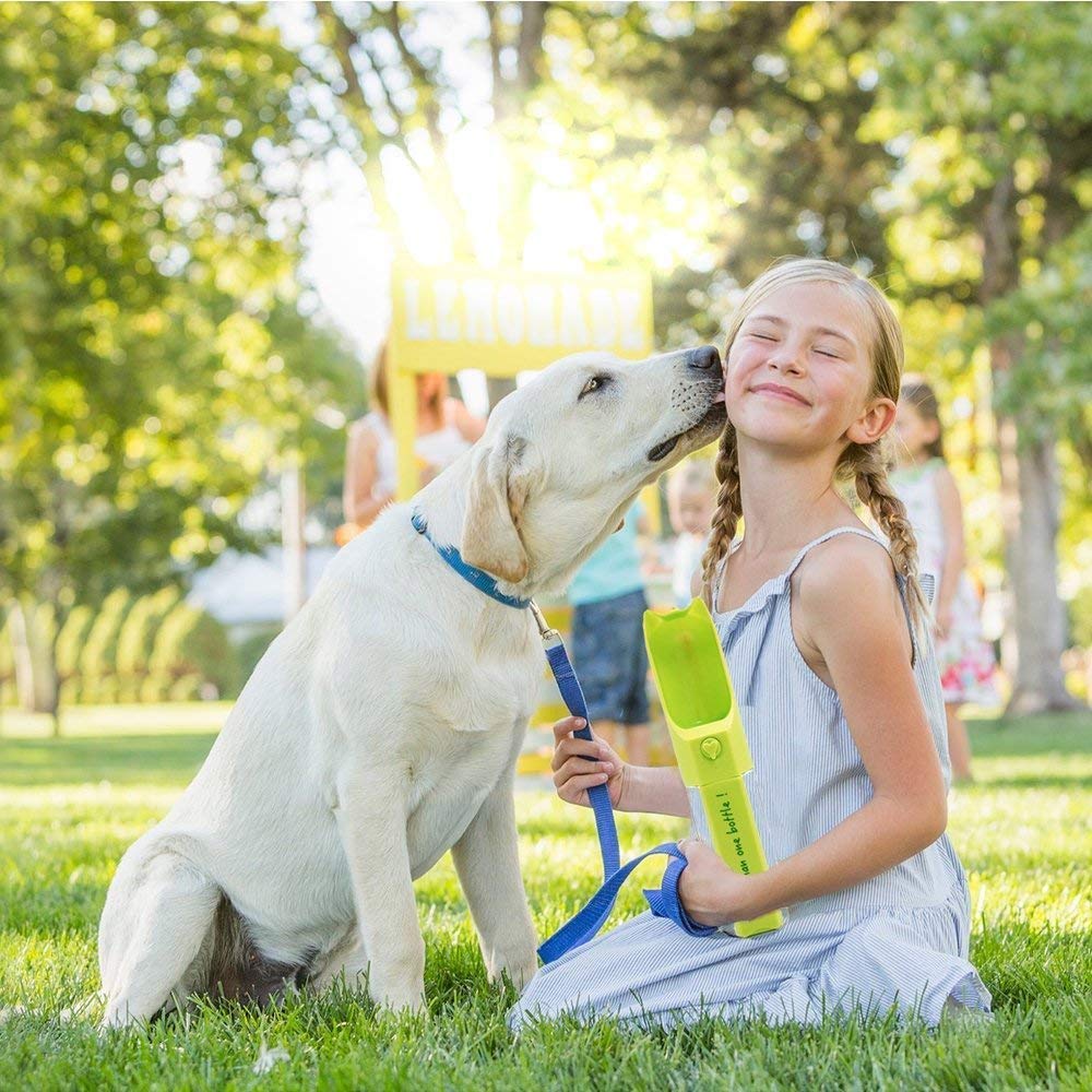 Wickedbone Interactive & Automatic Dog Bone, Gaming Toy for Dogs and Puppies, Safe & Durable, App-Enabled: Keep Your Dog Entertained All Day 7 Wickedbone Interactive & Automatic Dog Bone, Gaming Toy for Dogs and Puppies, Safe & Durable, App-Enabled: Keep Your Dog Entertained All Day - Image 7