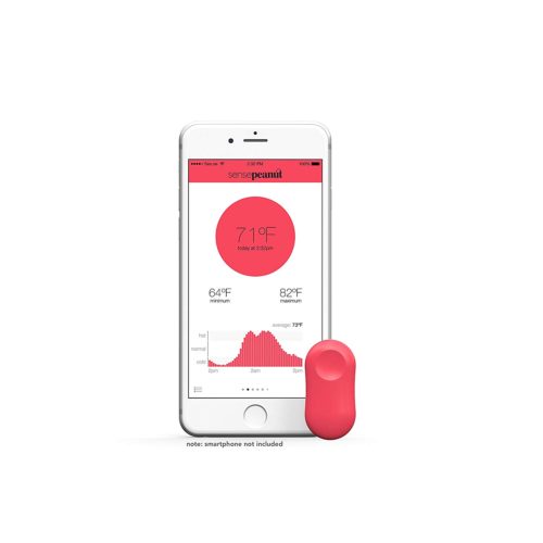 ThermoPeanut Smart Bluetooth Thermometer 2