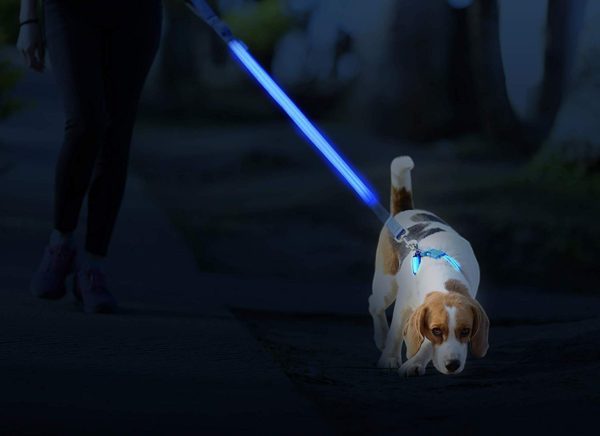 Illumiseen LED Dog Leash - USB Rechargeable - Available in 6 Colors & 2 Sizes - Makes Your Dog Visible, Safe & Seen 31