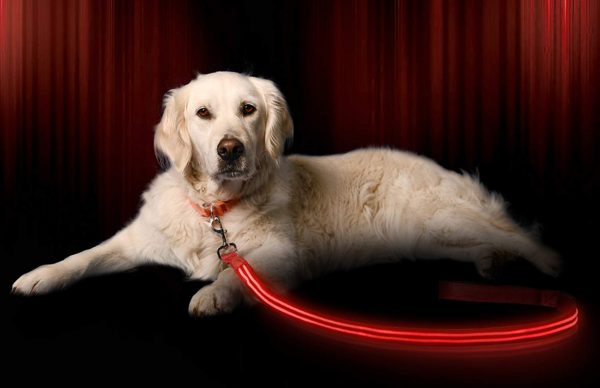 Illumiseen LED Dog Leash - USB Rechargeable - Available in 6 Colors & 2 Sizes - Makes Your Dog Visible, Safe & Seen 27