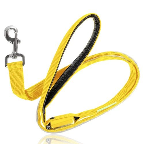 Illumiseen LED Dog Leash - USB Rechargeable - Available in 6 Colors & 2 Sizes - Makes Your Dog Visible, Safe & Seen 19