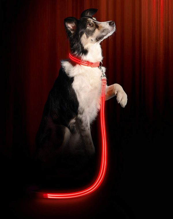 Illumiseen LED Dog Leash - USB Rechargeable - Available in 6 Colors & 2 Sizes - Makes Your Dog Visible, Safe & Seen 23