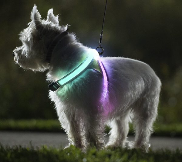 noxgear LightHound – Revolutionary Illuminated and Reflective Harness for Dogs Including Multicolored LED Fiber Optics (USB Rechargeable, Adjustable, 12