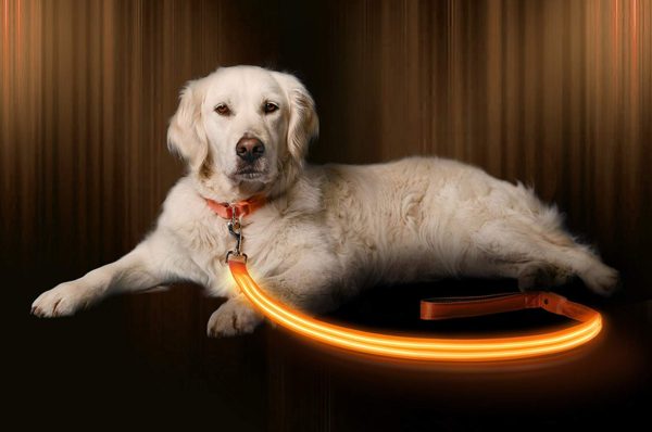 Illumiseen LED Dog Leash - USB Rechargeable - Available in 6 Colors & 2 Sizes - Makes Your Dog Visible, Safe & Seen 36