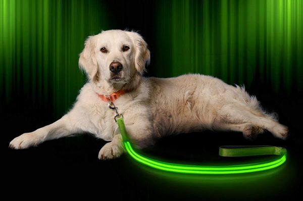 Illumiseen LED Dog Leash - USB Rechargeable - Available in 6 Colors & 2 Sizes - Makes Your Dog Visible, Safe & Seen 3