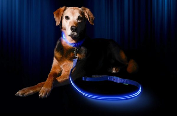 Illumiseen LED Dog Leash - USB Rechargeable - Available in 6 Colors & 2 Sizes - Makes Your Dog Visible, Safe & Seen 33