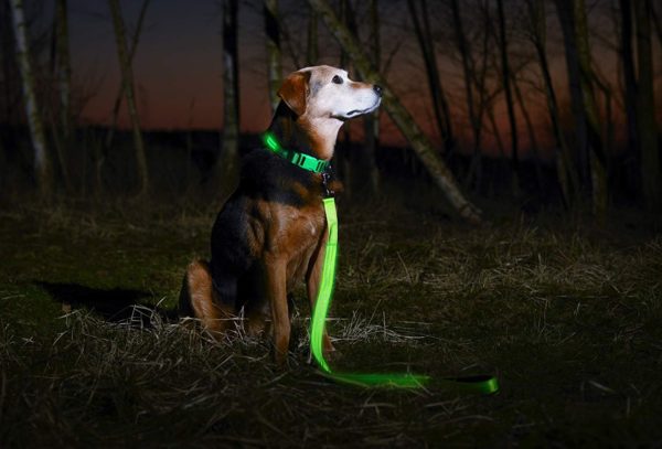 Illumiseen LED Dog Leash - USB Rechargeable - Available in 6 Colors & 2 Sizes - Makes Your Dog Visible, Safe & Seen 5