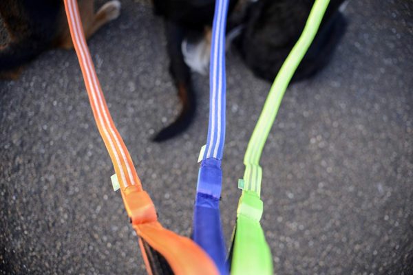 Illumiseen LED Dog Leash - USB Rechargeable - Available in 6 Colors & 2 Sizes - Makes Your Dog Visible, Safe & Seen 43