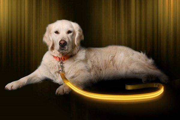 Illumiseen LED Dog Leash - USB Rechargeable - Available in 6 Colors & 2 Sizes - Makes Your Dog Visible, Safe & Seen 17