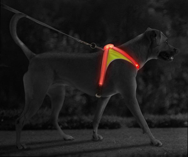 noxgear LightHound – Revolutionary Illuminated and Reflective Harness for Dogs Including Multicolored LED Fiber Optics (USB Rechargeable, Adjustable, 11