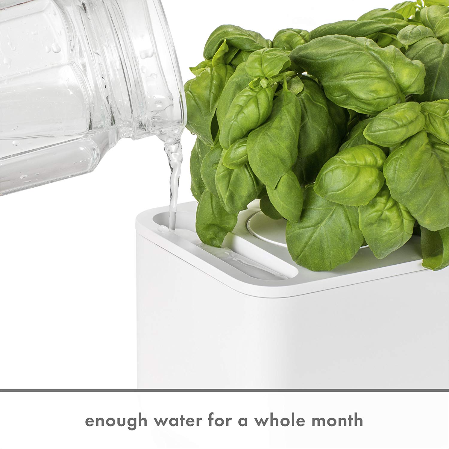 Click & Grow Smart Garden 3 Indoor Gardening Kit (Includes Basil Capsules), White 4 Click & Grow Smart Garden 3 Indoor Gardening Kit (Includes Basil Capsules), White - Image 4