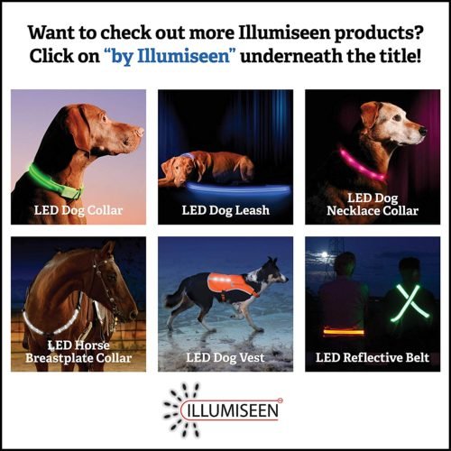 Illumiseen LED Dog Leash - USB Rechargeable - Available in 6 Colors & 2 Sizes - Makes Your Dog Visible, Safe & Seen 7
