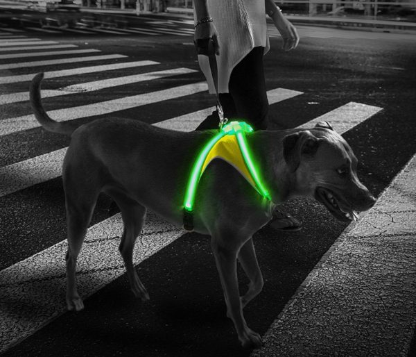 noxgear LightHound – Revolutionary Illuminated and Reflective Harness for Dogs Including Multicolored LED Fiber Optics (USB Rechargeable, Adjustable, 5