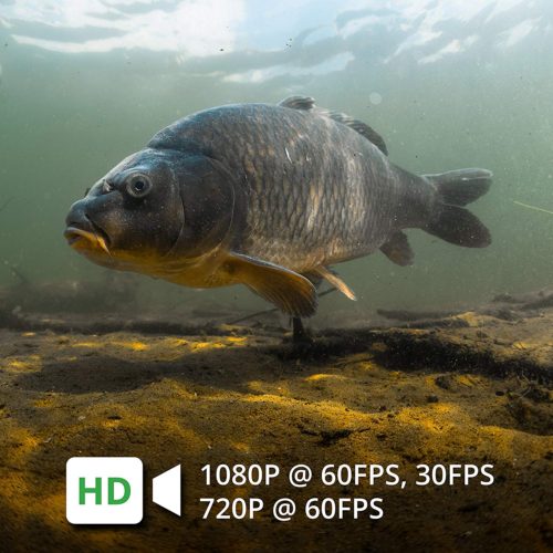 GoFish Cam Wireless Underwater Fishing Camera 13