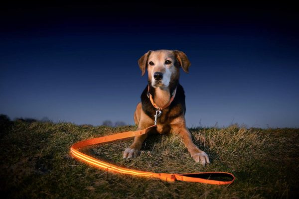 Illumiseen LED Dog Leash - USB Rechargeable - Available in 6 Colors & 2 Sizes - Makes Your Dog Visible, Safe & Seen 39