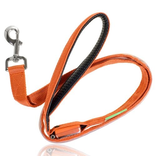 Illumiseen LED Dog Leash - USB Rechargeable - Available in 6 Colors & 2 Sizes - Makes Your Dog Visible, Safe & Seen 38
