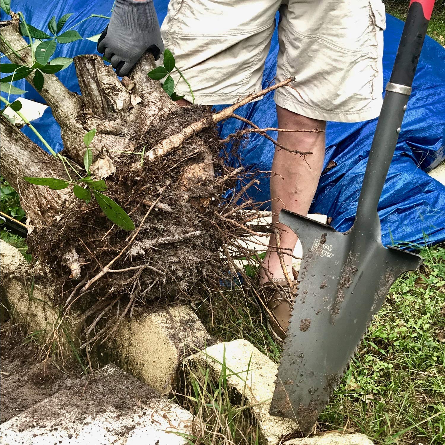 Radius Garden, 37711, Root Slayer Trio, Root Cutting Set, Red 4 Radius Garden, 37711, Root Slayer Trio, Root Cutting Set, Red - Image 4