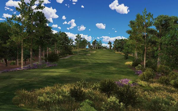 Tittle X Golf Simulator Air Golf Pack, Trugolf E6 Edition 3