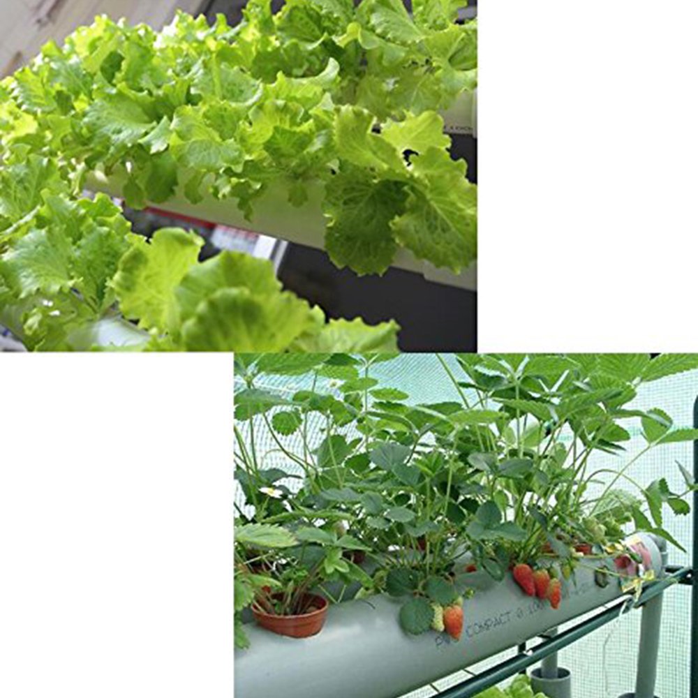 54 Holes Horizontal Hydroponic Piping Site Grow Kit Flow DWC Deep Water Culture Planting Box System 11 54 Holes Horizontal Hydroponic Piping Site Grow Kit Flow DWC Deep Water Culture Planting Box System - Image 11