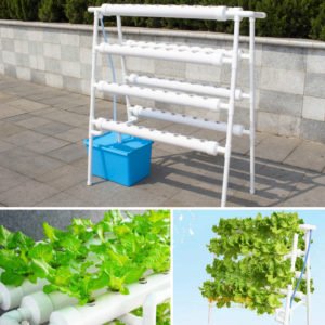 Culture Vegetable Planting System