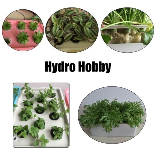 220V Hydroponic System Kit 12 Holes DWC Soilless Cultivation Indoor Water Planting Grow Box 9