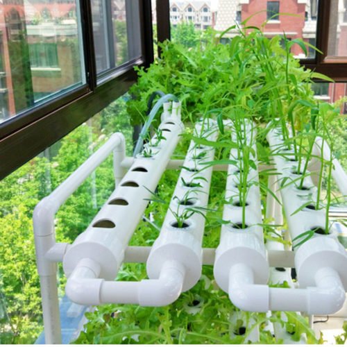 36 Holes Hydroponic Piping Site Grow Kit DIY Horizontal Flow DWC Deep Water Culture System Garden Vegetable 2