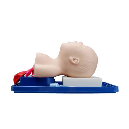 Intubation Manikin Study Teaching Model Baby Infant Airway Management Trainer Medical Model 4