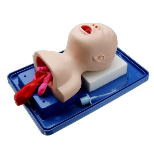 Intubation Manikin Study Teaching Model Baby Infant Airway Management Trainer Medical Model 2